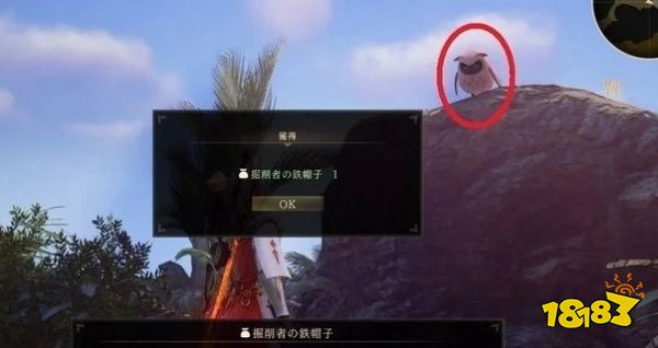 破曉傳說特殊貓頭鷹在哪 特殊貓頭鷹位置介紹