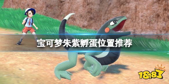 宝可梦朱紫孵蛋在哪孵 宝可梦朱紫孵蛋位置推荐