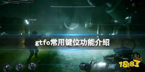 GTFO常用按鍵有哪些 GTFO游戲常用鍵位功能介紹