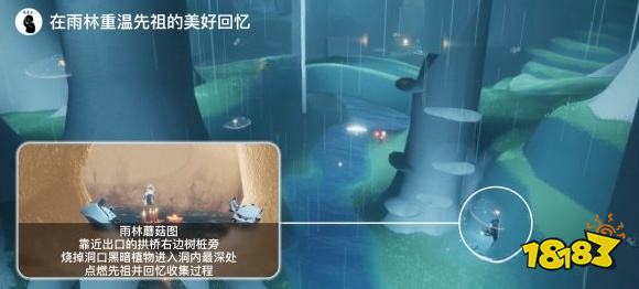 光遇今日11.30每日任務 11月30日每日任務攻略