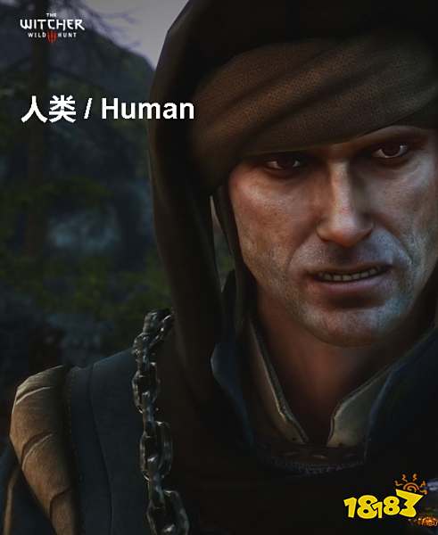 巫师3人类背景介绍 人类详情一览