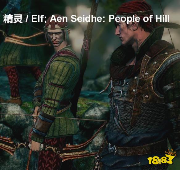 巫师3精灵背景介绍 精灵详情一览