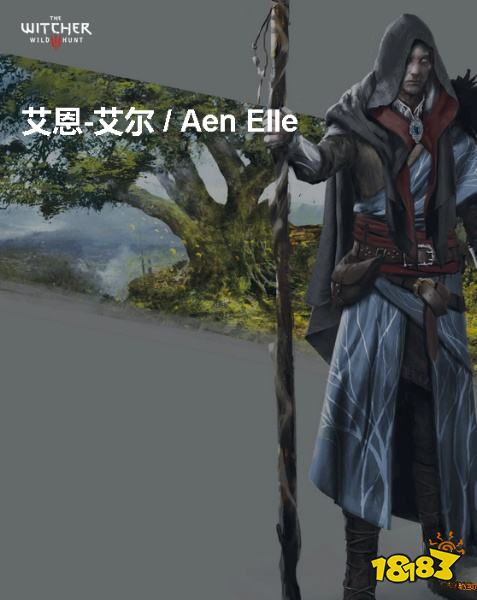 巫师3艾恩艾尔背景介绍 艾恩艾尔详情一览