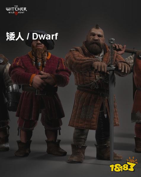 巫师3矮人背景介绍 矮人详情一览