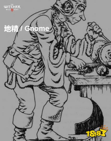 巫师3地精背景介绍 地精详情一览