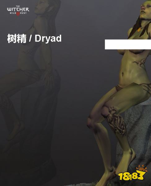 巫师3树精背景介绍 树精详情一览