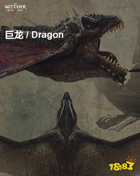 巫师3巨龙背景介绍 巨龙详情一览