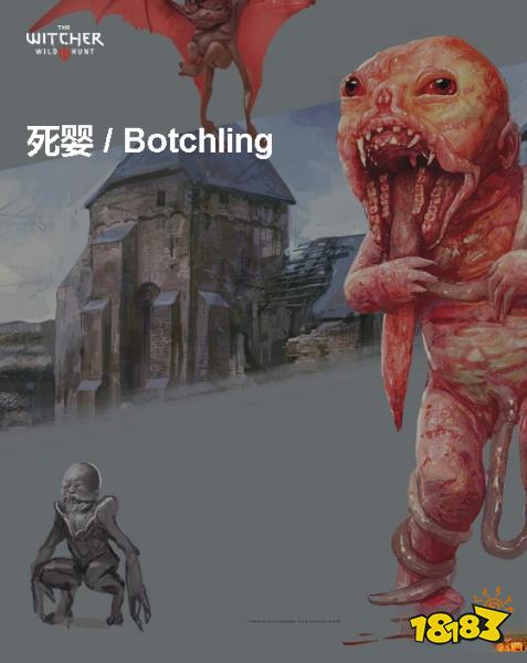 巫师3死婴背景介绍 死婴详情一览