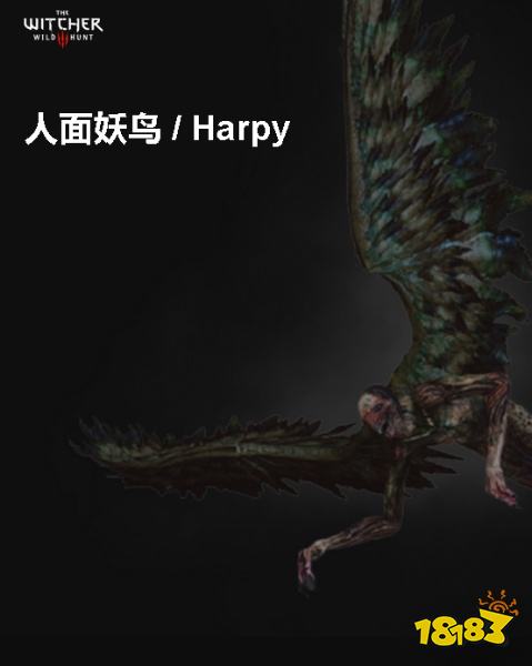 巫师3人面妖鸟背景介绍 人面妖鸟详情一览