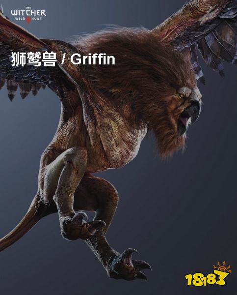 巫师3狮鹫兽背景介绍 狮鹫兽详情一览