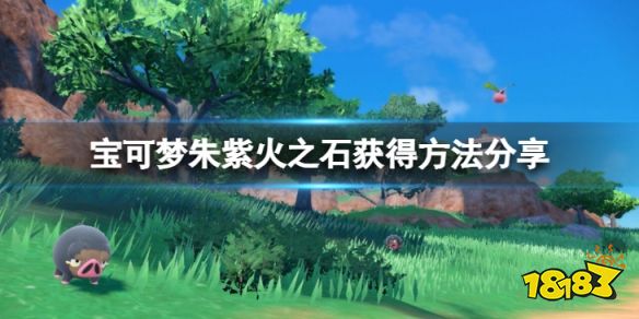 宝可梦朱紫火之石怎么获得 宝可梦朱紫火之石获得方法分享