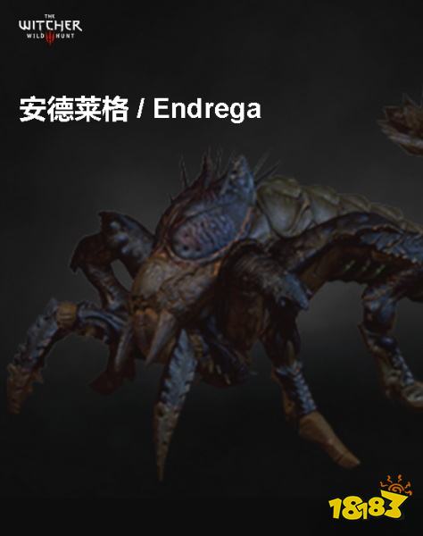巫师3安德莱格背景介绍 安德莱格详情一览