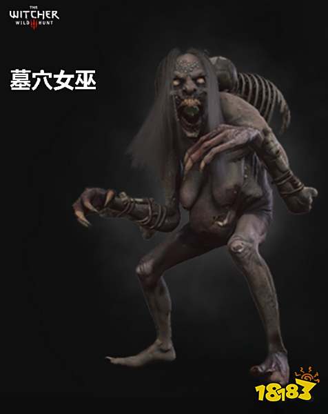 巫师3墓穴女巫背景介绍 墓穴女巫详情一览