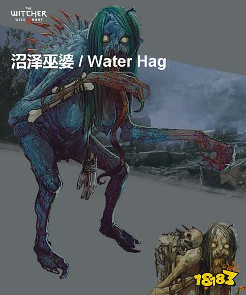 巫师3沼泽巫婆背景介绍 沼泽巫婆详情一览