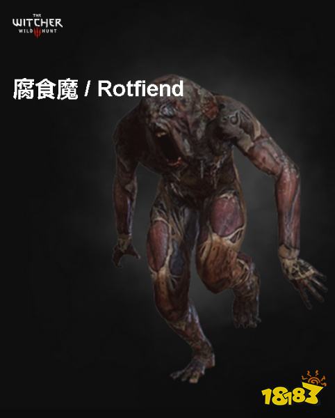 巫师3腐食魔背景介绍 腐食魔详情一览