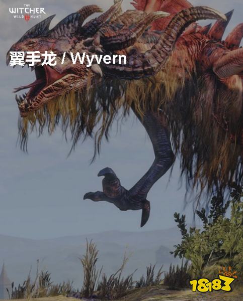 巫师3翼手龙背景介绍 翼手龙详情一览