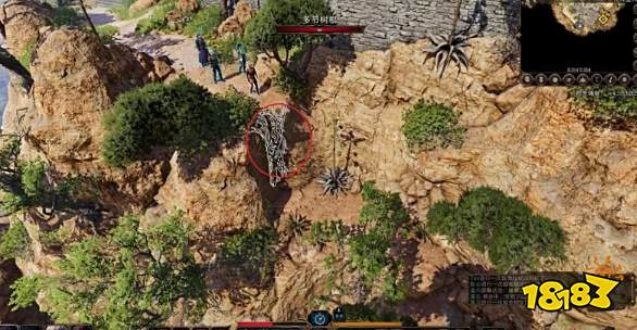 博德之门3主线任务遗弃的废墟怎么做 遗弃的废墟任务图文流程