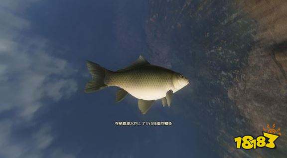 古剑奇谭3全鱼苗出没水域 全鱼苗获得方法汇总