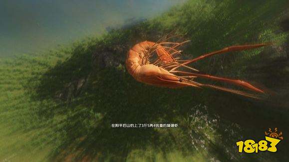 古剑奇谭3全鱼苗出没水域 全鱼苗获得方法汇总