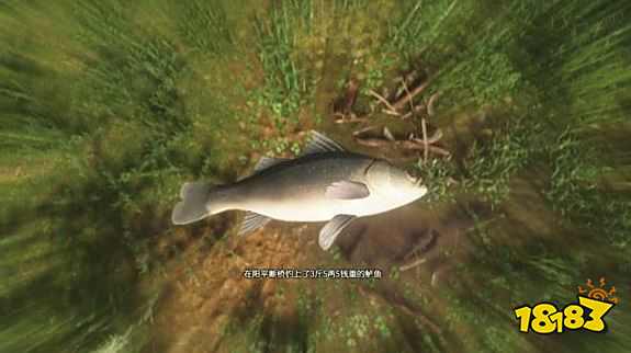 古剑奇谭3全鱼苗出没水域 全鱼苗获得方法汇总