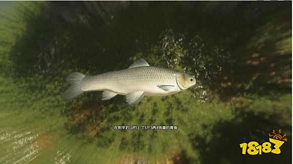 古剑奇谭3全鱼苗出没水域 全鱼苗获得方法汇总