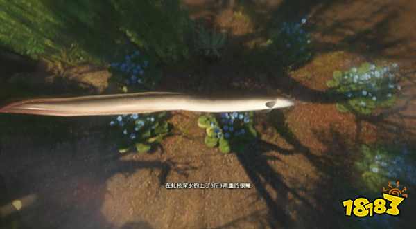 古剑奇谭3全鱼苗出没水域 全鱼苗获得方法汇总