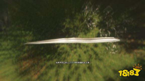 古剑奇谭3全鱼苗出没水域 全鱼苗获得方法汇总