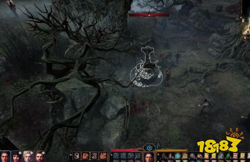 博德之门3主线任务年迈的药剂师怎么做 年迈的药剂师任务图文流程