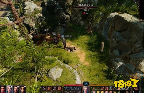 博德之门3主线任务找到德鲁伊怎么做 找到德鲁伊任务图文流程