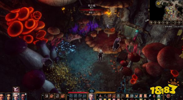 博德之门3主线任务光耀会怎么做 光耀会任务图文流程