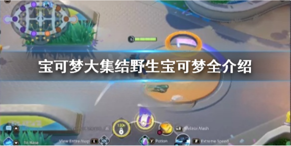 宝可梦大集结野生宝可梦有哪些 宝可梦大集结野生宝可梦全介绍