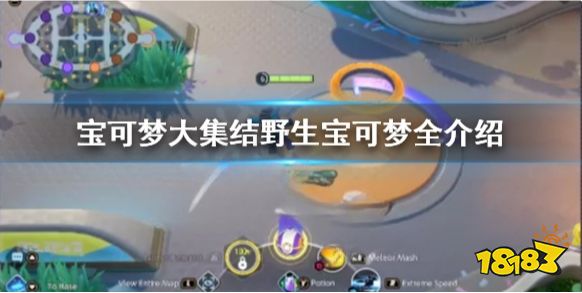 宝可梦大集结野生宝可梦有哪些 宝可梦大集结野生宝可梦全介绍