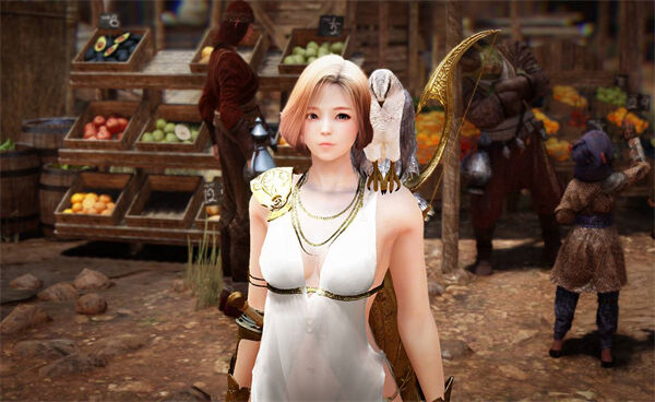 黑色沙漠女武士技能怎么加点 刀剑技能搭攻略