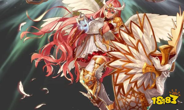 dnf国服特色是什么意思