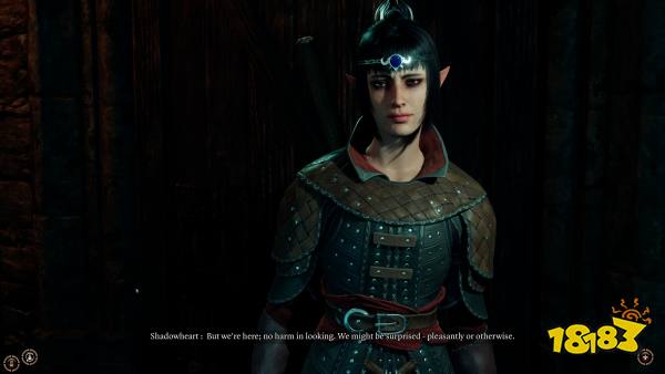 博德之门3游荡者盗贼职业推荐 游荡者盗贼职业转职攻略