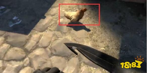 csgo雞怎么跟著人走 csgo雞跟著人走方法介紹