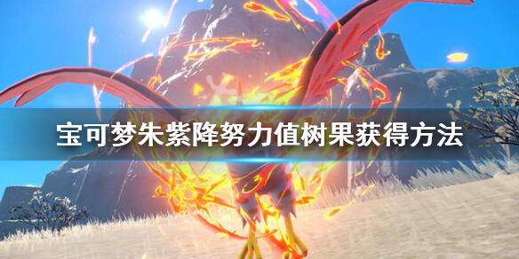 宝可梦朱紫怎么洗努力值 宝可梦朱紫降努力值树果获得方法