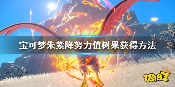 宝可梦朱紫怎么洗努力值 宝可梦朱紫降努力值树果获得方法