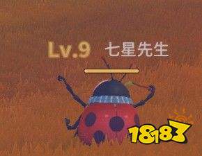 波西亚时光全怪物掉落图鉴2022 全怪物掉落品大全