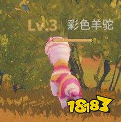 波西亚时光全怪物掉落图鉴2022 全怪物掉落品大全