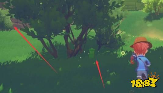 波西亚时光竹瓜任务怎么做 竹瓜的获取方法一览