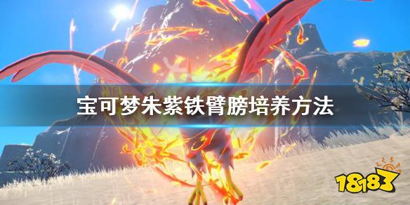 宝可梦朱紫铁臂膀怎么培养 宝可梦朱紫铁臂膀培养方法