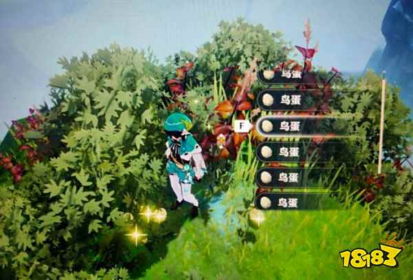 原神哪里有鸟蛋