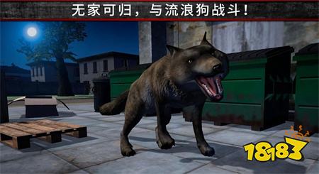 荒野流浪记电脑版下载教程 荒野流浪记官方最新PC版下载安装