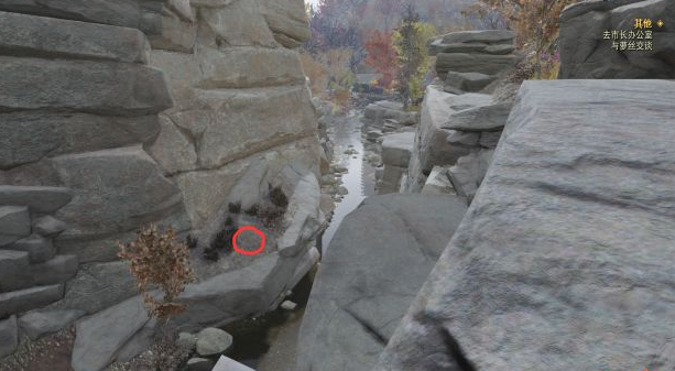 辐射76中10号森林宝藏怎么挖 10号森林藏宝图挖掘位置