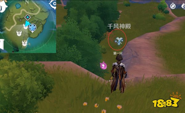 原神騙騙花蜜采集分布圖 騙騙花蜜速刷路線大全