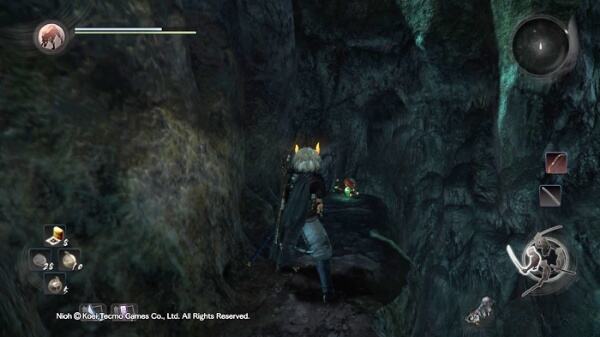 仁王黑暗深处木灵 九州篇黑暗深处木灵收集