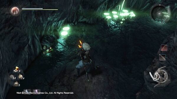 仁王黑暗深处木灵 九州篇黑暗深处木灵收集