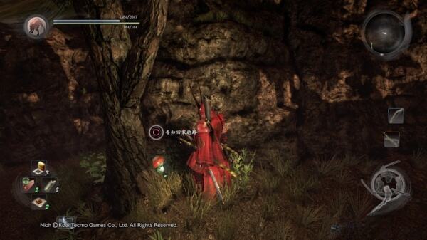 仁王横越伊贺木灵 东海篇横越伊贺木灵收集