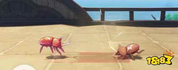 原神3.4斗虫活动怎么玩 斗虫活动玩法分享